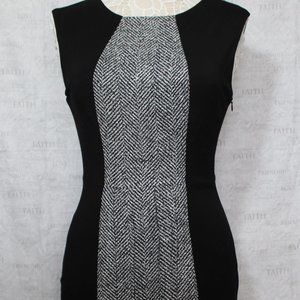 New Forum Fitted  Dress for Work or Date Night